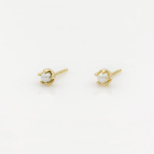 14k Freshwater Pearl Prong Studs