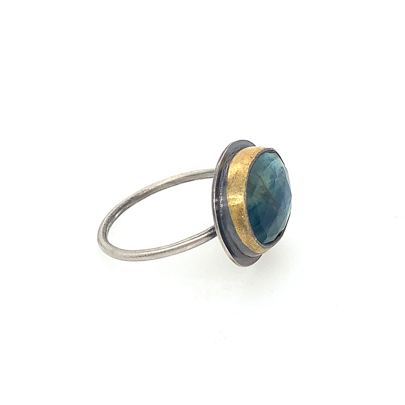 East-West Bi-colored Kyanite Ring (SS/24k)