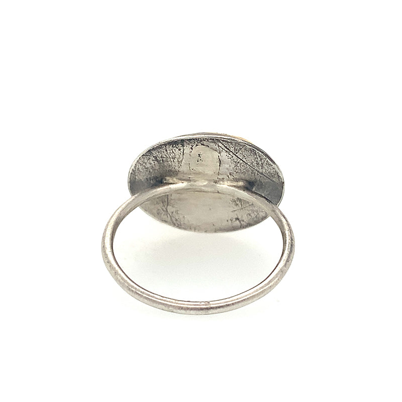 East-West Bi-colored Kyanite Ring (SS/24k)