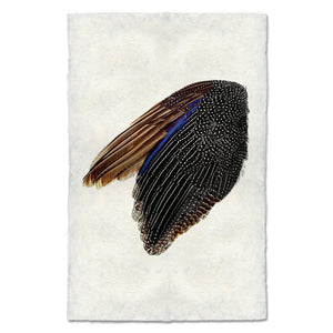 Guinea Fowl Wing - Left