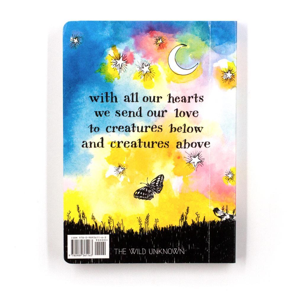 Hello Sacred Creatures - KESTREL