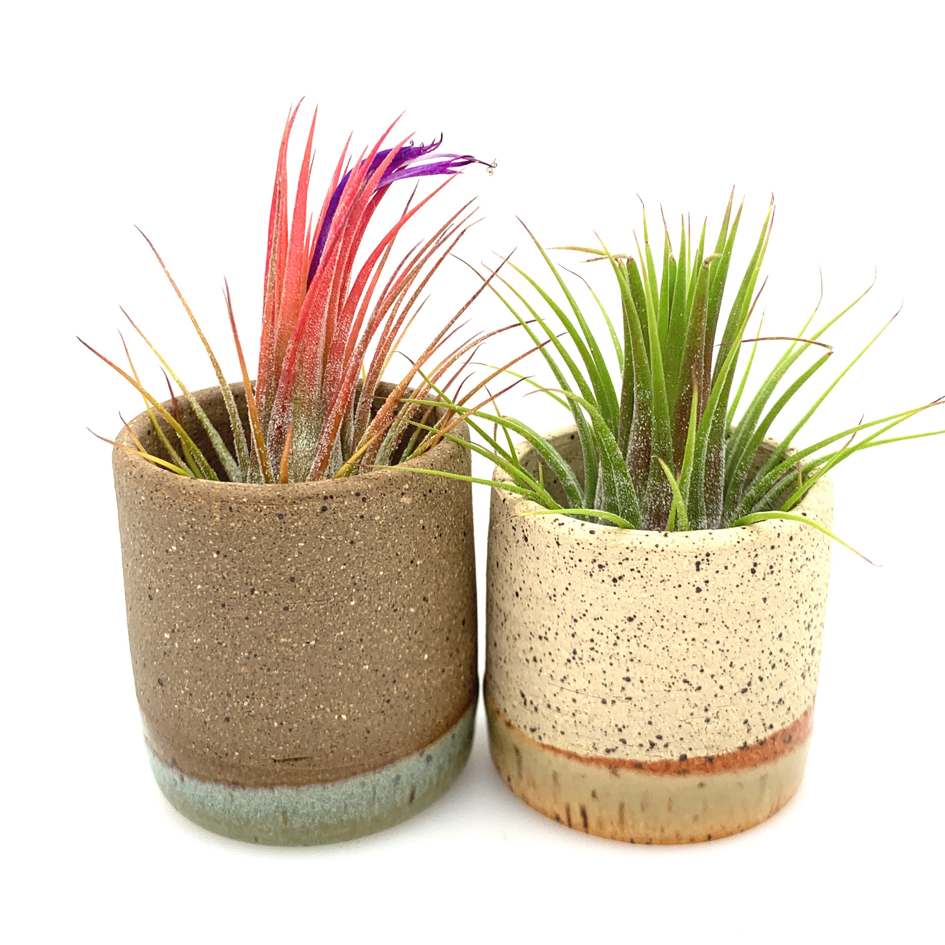 Tiny Horizon Airplant Pot