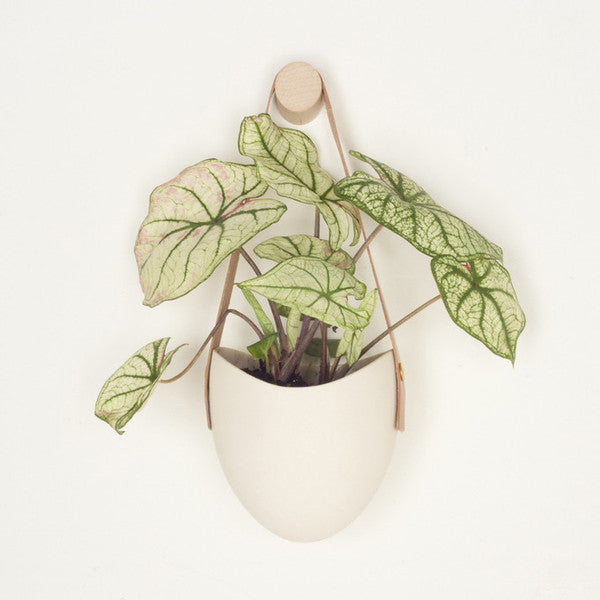 White Hanging Planter w/ Leather - KESTREL