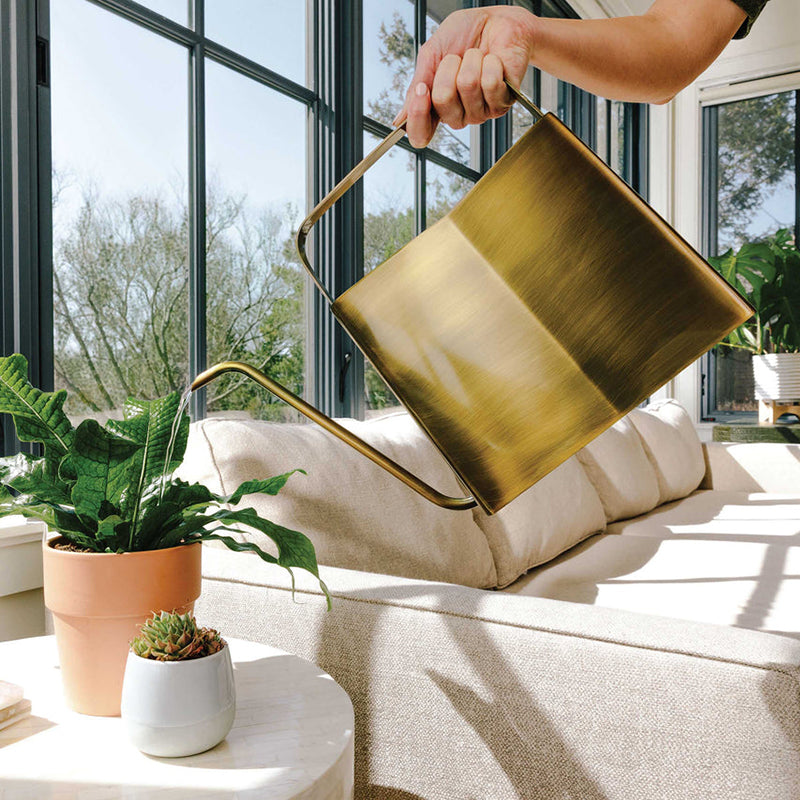 Matte Black Rectangular Watering Can