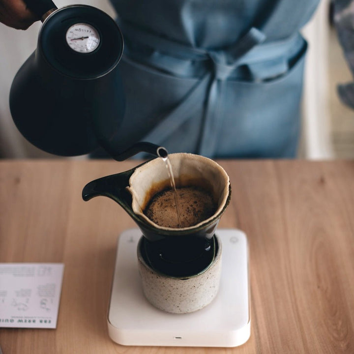 Ebb Coffee Filter - No. 2