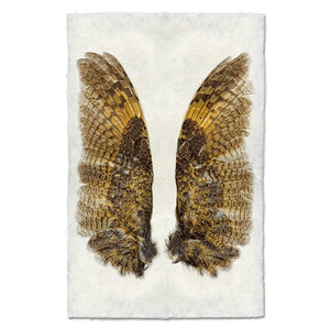 Owl Wings Print