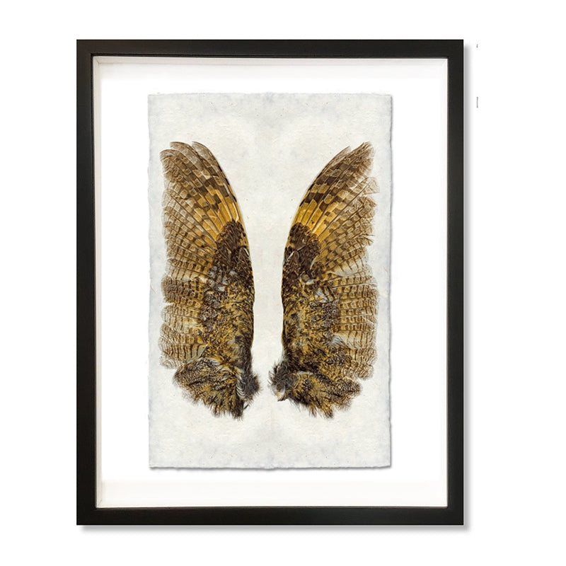 Owl Wings Print Shadow Box Frame