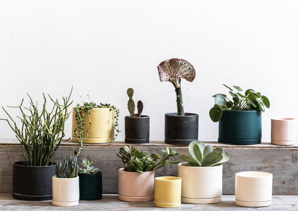 Freckled Pink Round Planter - KESTREL