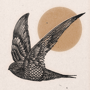 'Mid-Flight Bird' Print
