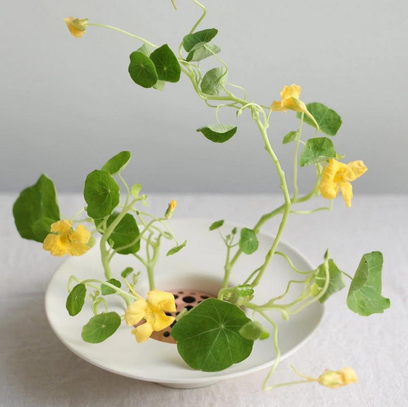 Copper Flower Frog Set