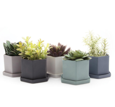 Hex Planter (Peacock) - KESTREL