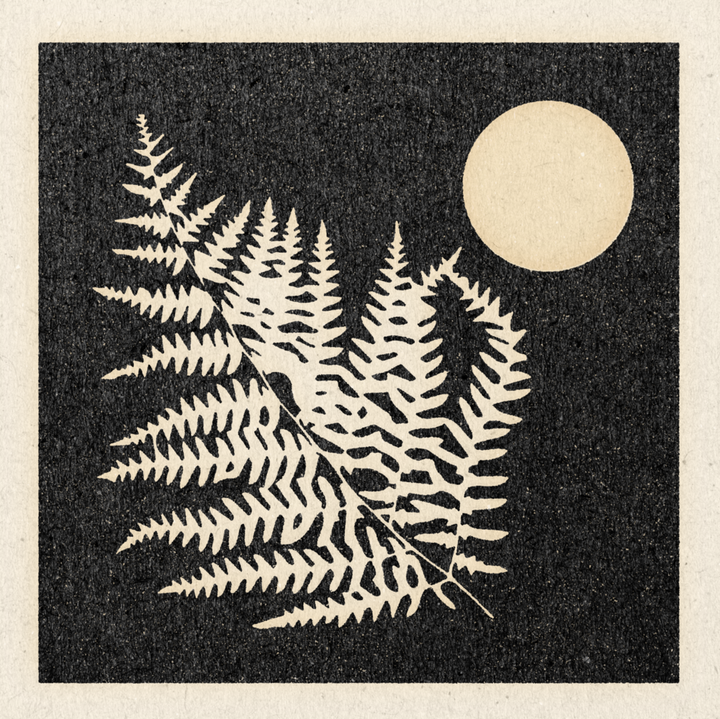 'Night Fern' Print