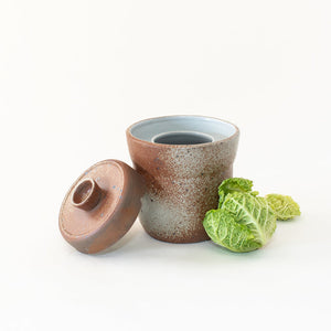 Ceramic Fermentation Jar (Winter Mesa)