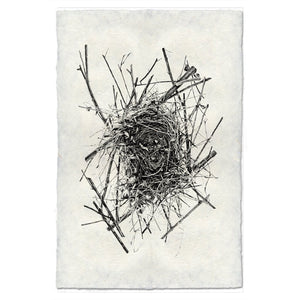 Nest Print #14 - KESTREL