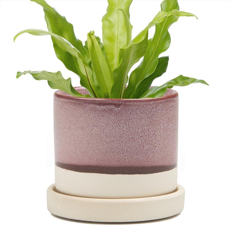 Big Minute Pot - Burgundy - KESTREL