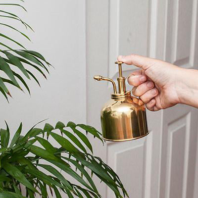 Plant Mister - KESTREL
