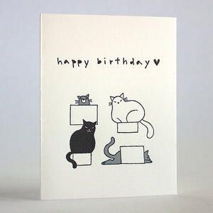 Boxed Kitties Birthday Card