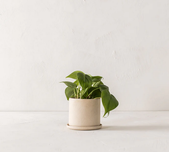 4" Minimalist Planter + Tray - Raw Stoneware