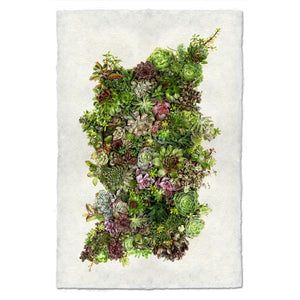 Collective Succulents Small Print - KESTREL