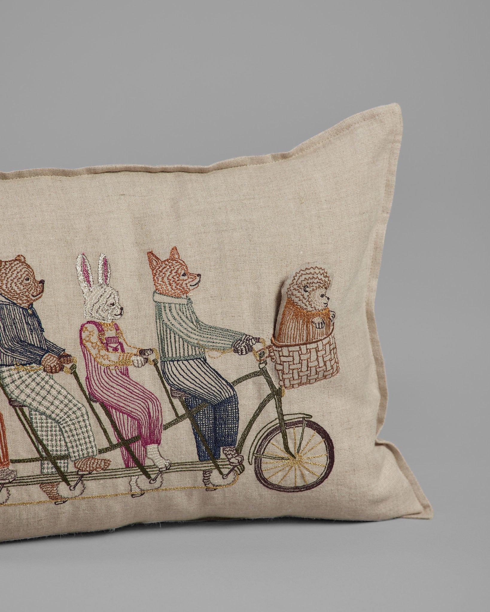 Tandem Bike Pocket Pillow