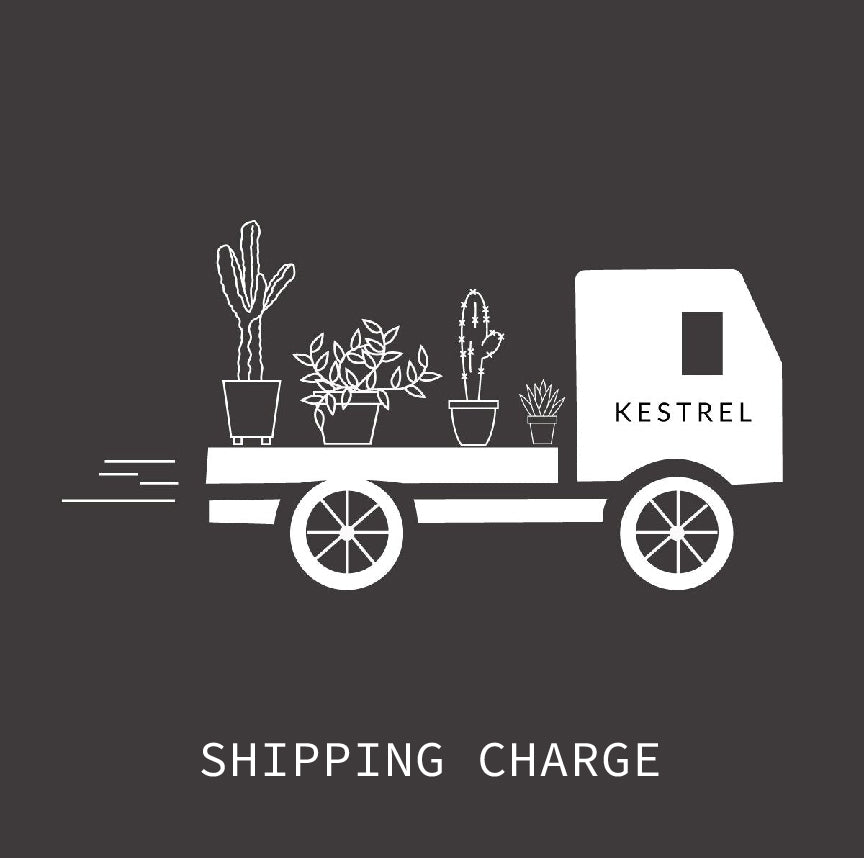 Shipping Charge Shopify Matrix