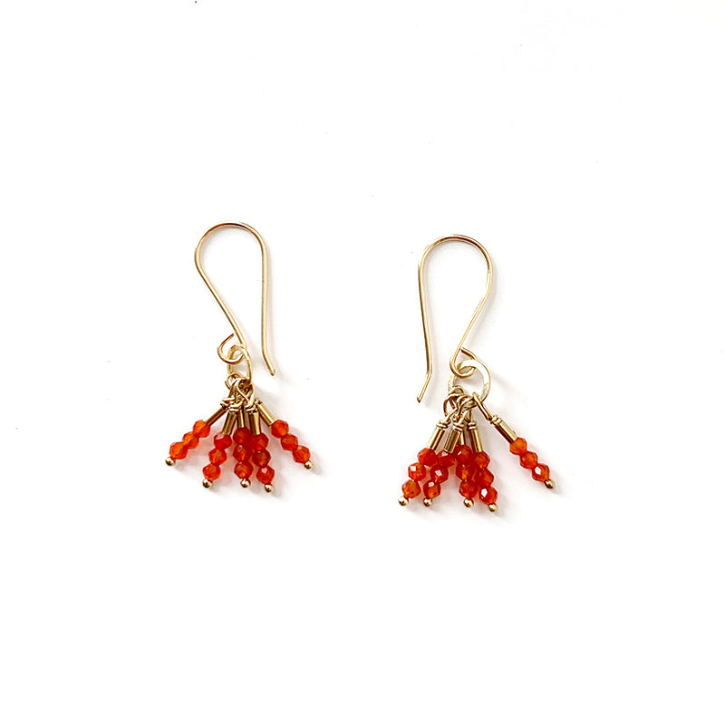 Seed Bead Tassle Earrings - Carnelian