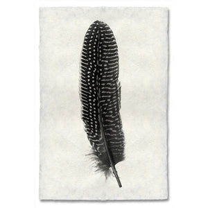 Pheasant Feather Print #5 - KESTREL