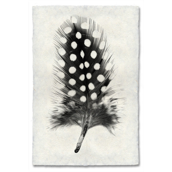 Guinea Fowl Feather Print #1 - KESTREL