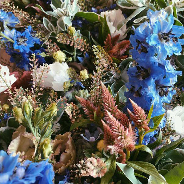 Kestrel x Mal du Pays Flower Share