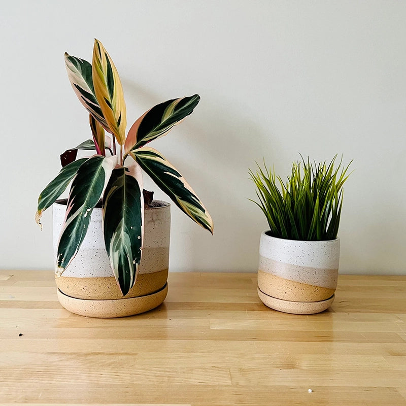 Hands On Speckled Planter + Tray - White