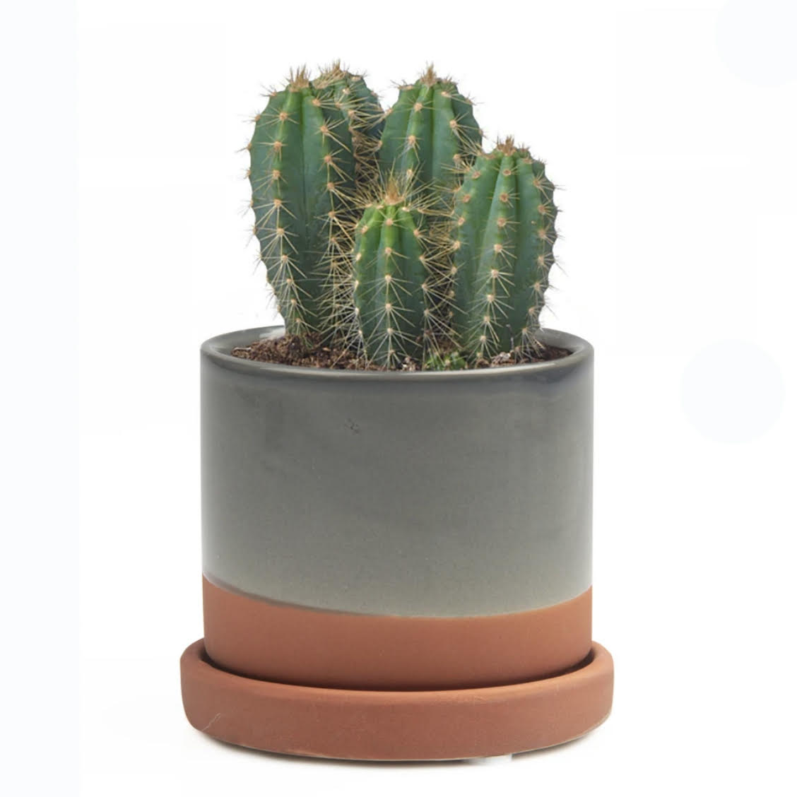 Minute Pot - Grey Terracotta - KESTREL