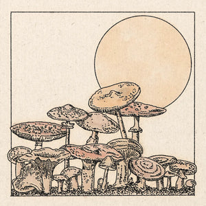 'Mushroom Garden No.2' Print