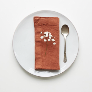 Linen Napkins - Set/2 - Baked Clay
