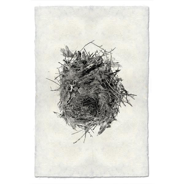 Nest Print #13 - KESTREL