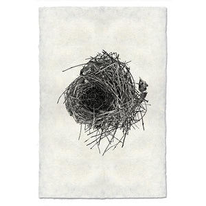 Nest Print #10 - KESTREL