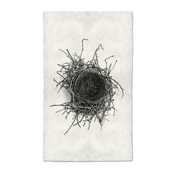Nest Print #2 - KESTREL