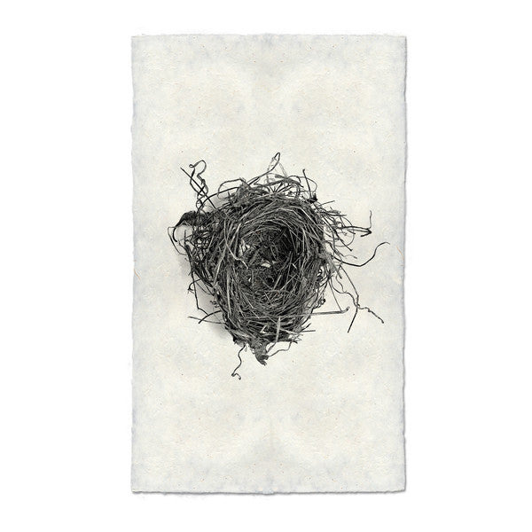 Nest Print #5 - KESTREL