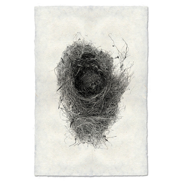 Nest Print #6 - KESTREL