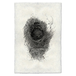 Nest Print #6 - KESTREL