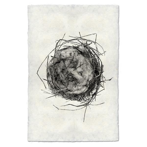 Nest Print #7 - KESTREL