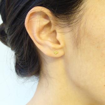 Mini Polkadot Cluster Studs