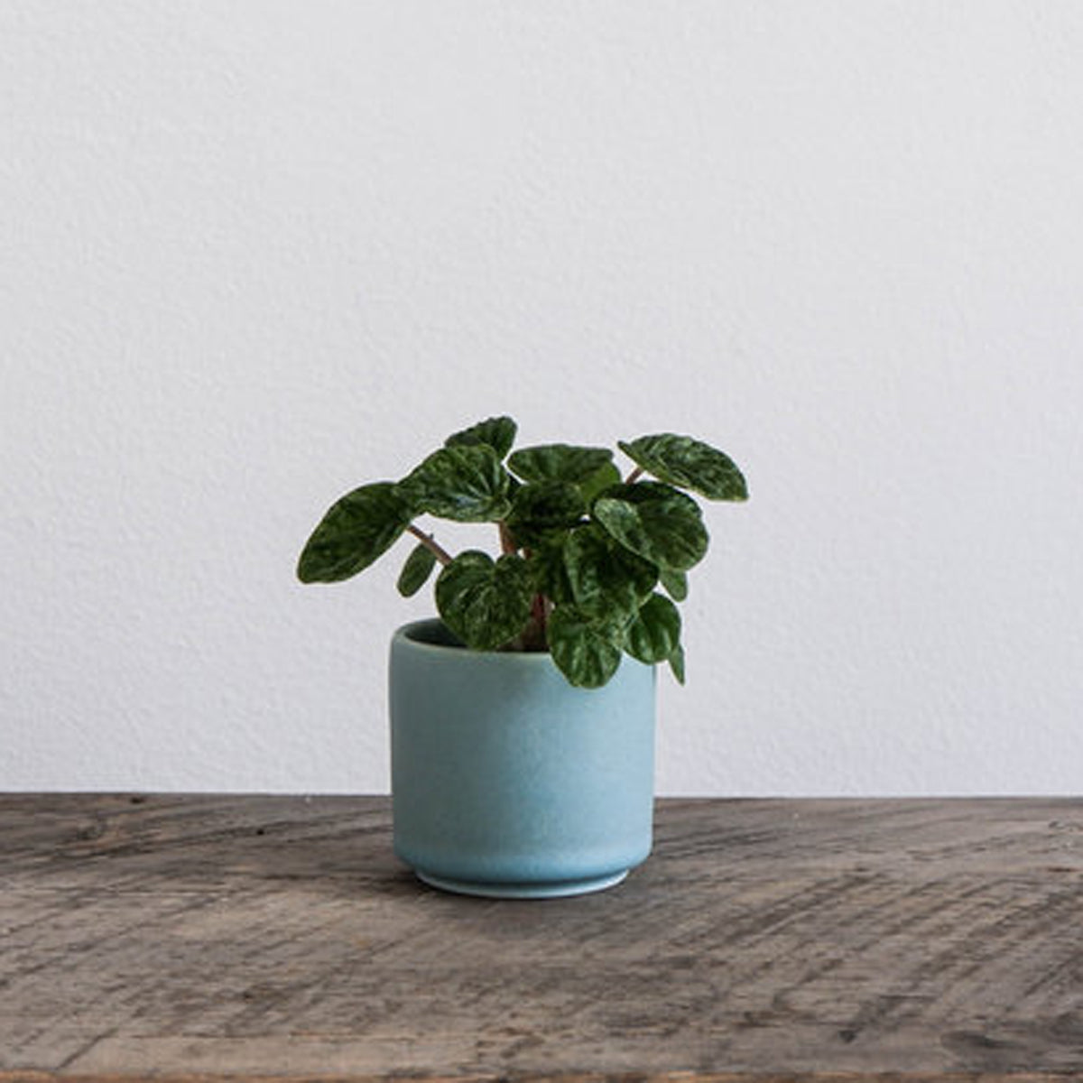 Tandem Mini Planter - Siren Blue - KESTREL