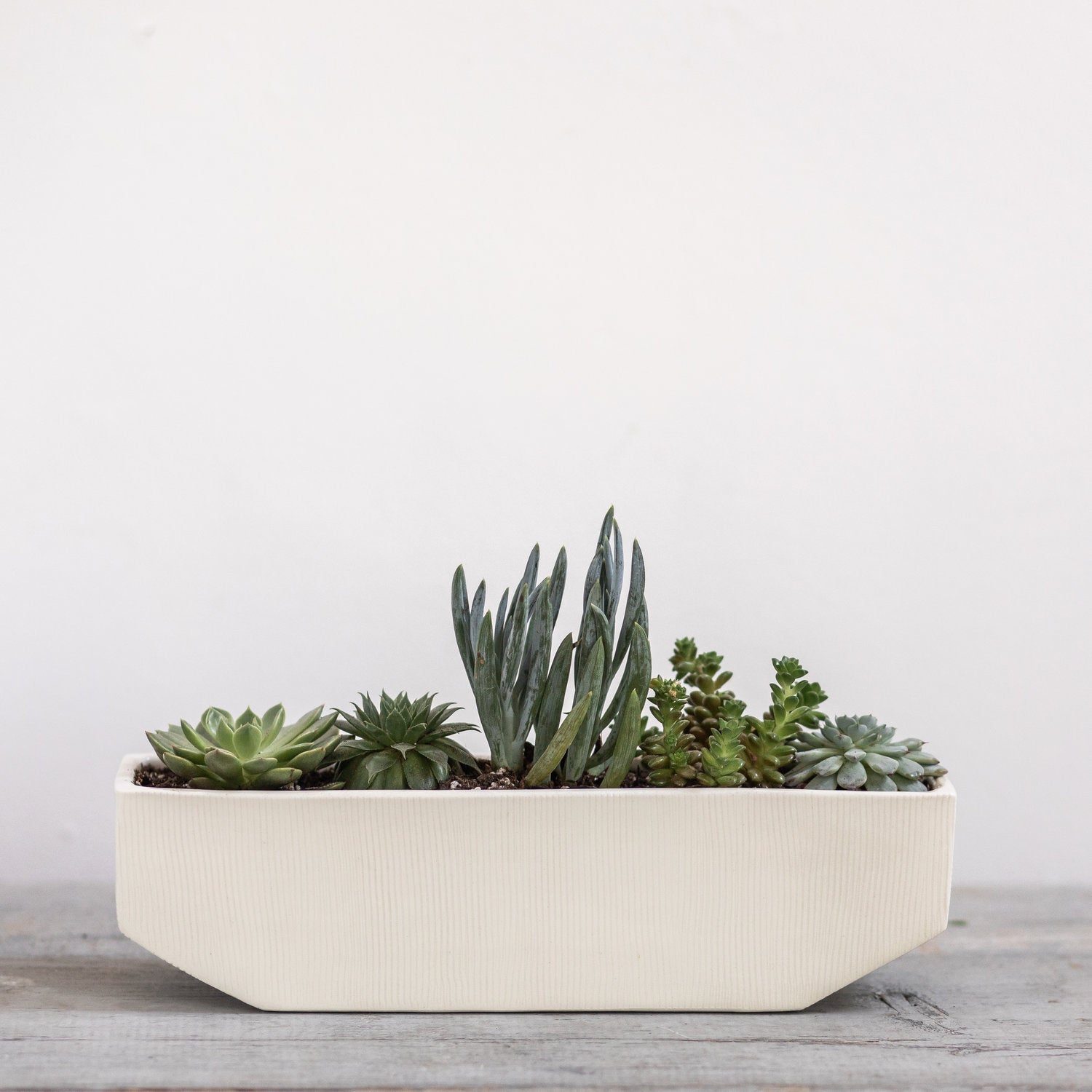 Medium Linea Planter - KESTREL