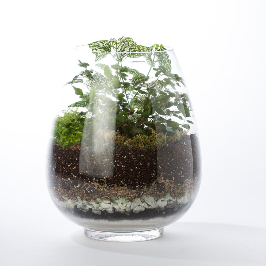Custom Terrarium - KESTREL