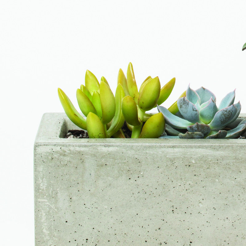Concrete Windowsill Planter - KESTREL